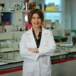 Our website is now online!